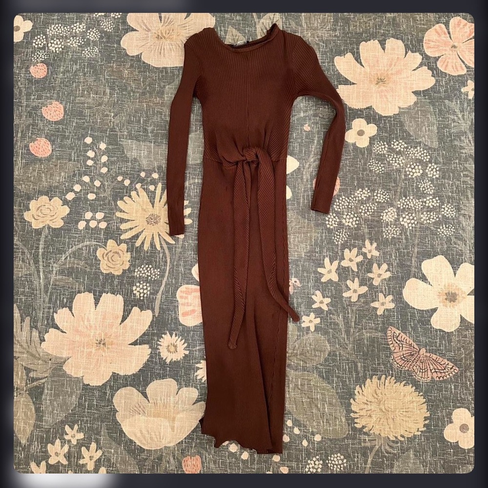 Zara Chocolate Long Sleeve Dress